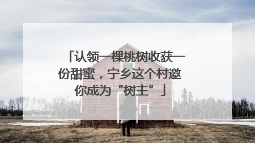 认领一棵桃树收获一份甜蜜，宁乡这个村邀你成为“树主”