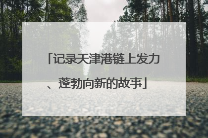 记录天津港链上发力、蓬勃向新的故事