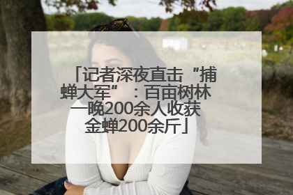 记者深夜直击“捕蝉大军”：百亩树林一晚200余人收获金蝉200余斤
