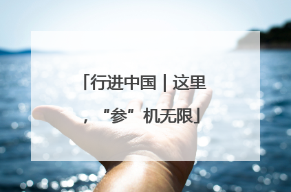 行进中国｜这里，“参”机无限