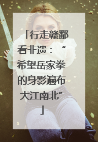 行走赣鄱看非遗：“希望岳家拳的身影遍布大江南北”