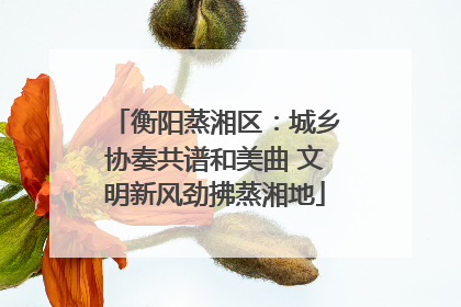 衡阳蒸湘区：城乡协奏共谱和美曲 文明新风劲拂蒸湘地