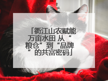 衢江山农赋能万亩水田 从“粮仓”到“品牌”的共富密码
