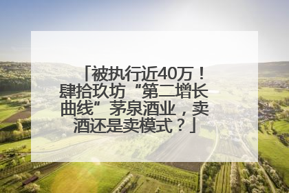 被执行近40万！肆拾玖坊“第二增长曲线”茅泉酒业，卖酒还是卖模式？