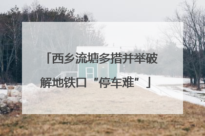 西乡流塘多措并举破解地铁口“停车难”