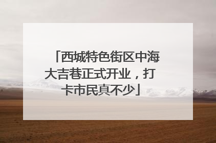 西城特色街区中海大吉巷正式开业，打卡市民真不少