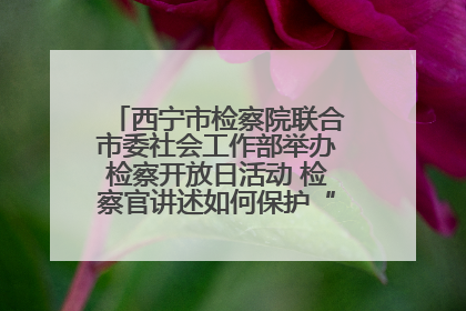 西宁市检察院联合市委社会工作部举办检察开放日活动 检察官讲述如何保护“少年的你”