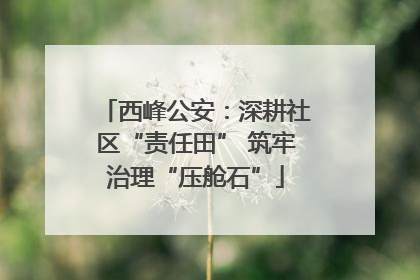 西峰公安：深耕社区“责任田” 筑牢治理“压舱石”