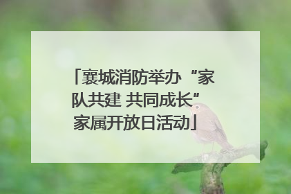 襄城消防举办“家队共建 共同成长”家属开放日活动