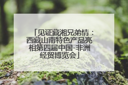 见证藏湘兄弟情：西藏山南特色产品亮相第四届中国-非洲经贸博览会