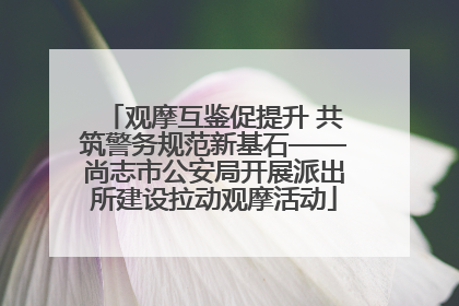 观摩互鉴促提升 共筑警务规范新基石——尚志市公安局开展派出所建设拉动观摩活动
