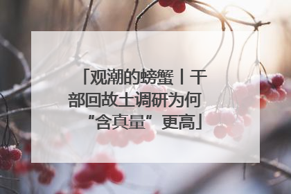 观潮的螃蟹丨干部回故土调研为何“含真量”更高