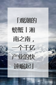 观潮的螃蟹丨湘南之南，一个千亿产业的快速崛起