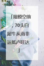 规模空前，70头白犀牛从南非运抵卢旺达