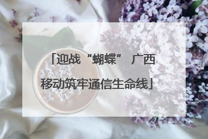迎战“蝴蝶” 广西移动筑牢通信生命线