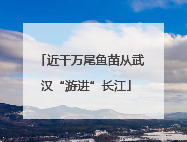 近千万尾鱼苗从武汉“游进”长江