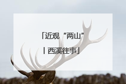 近观“两山”丨西溪往事