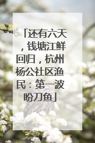 还有六天，钱塘江鲜回归，杭州杨公社区渔民：第一波盼刀鱼