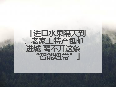 进口水果隔天到、老家土特产包邮进城 离不开这条“智能纽带”