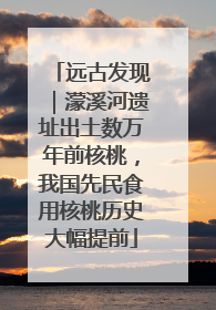 远古发现｜濛溪河遗址出土数万年前核桃，我国先民食用核桃历史大幅提前