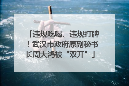 违规吃喝、违规打牌！武汉市政府原副秘书长周大鸿被“双开”