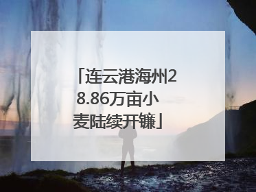 连云港海州28.86万亩小麦陆续开镰