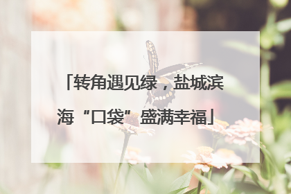 转角遇见绿，盐城滨海“口袋”盛满幸福
