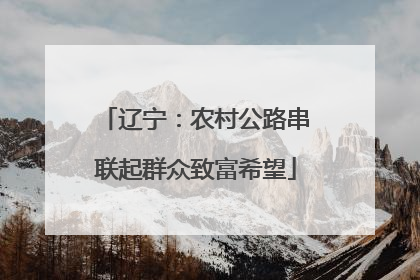 辽宁：农村公路串联起群众致富希望