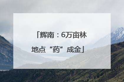 辉南：6万亩林地点“药”成金