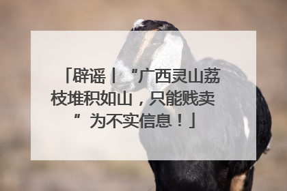辟谣丨“广西灵山荔枝堆积如山，只能贱卖”为不实信息！