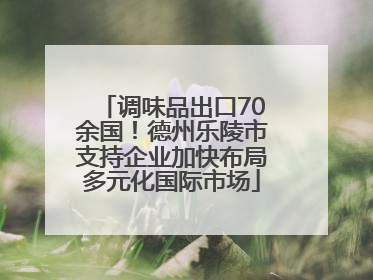 调味品出口70余国！德州乐陵市支持企业加快布局多元化国际市场