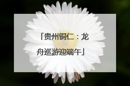 贵州铜仁：龙舟巡游迎端午