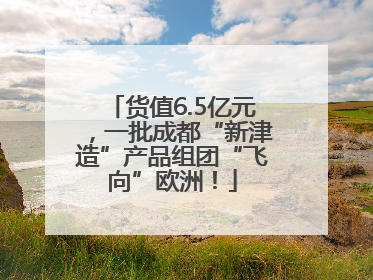 货值6.5亿元，一批成都“新津造”产品组团“飞向”欧洲！