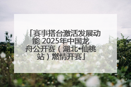 赛事搭台激活发展动能 2025年中国龙舟公开赛（湖北•仙桃站）燃情开赛