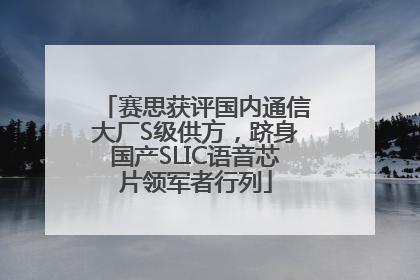 赛思获评国内通信大厂S级供方，跻身国产SLIC语音芯片领军者行列