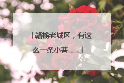 赣榆老城区，有这么一条小巷……