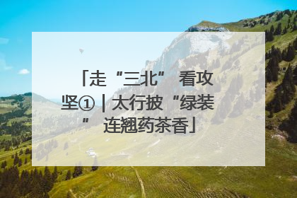 走“三北” 看攻坚①｜太行披“绿装” 连翘药茶香