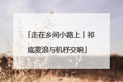走在乡间小路上丨祁底麦浪与机杼交响