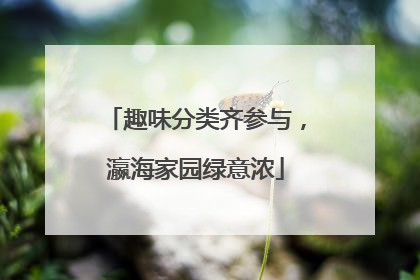 趣味分类齐参与，瀛海家园绿意浓