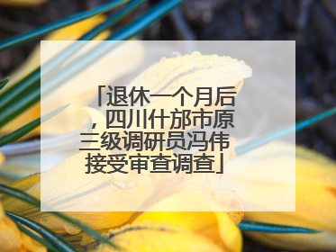 退休一个月后，四川什邡市原三级调研员冯伟接受审查调查