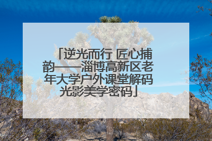 逆光而行 匠心捕韵——淄博高新区老年大学户外课堂解码光影美学密码