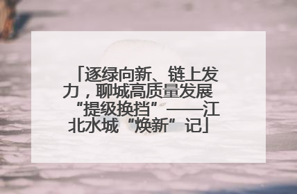 逐绿向新、链上发力，聊城高质量发展“提级换挡”——江北水城“焕新”记