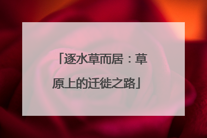 逐水草而居：草原上的迁徙之路