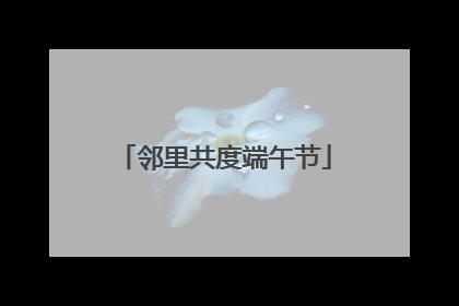 邻里共度端午节