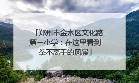 郑州市金水区文化路第三小学：在这里看到拳不离手的风景