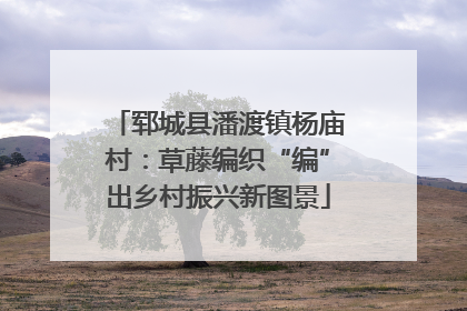 郓城县潘渡镇杨庙村：草藤编织“编”出乡村振兴新图景