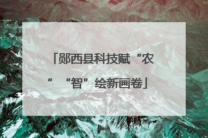 郧西县科技赋“农”“智”绘新画卷