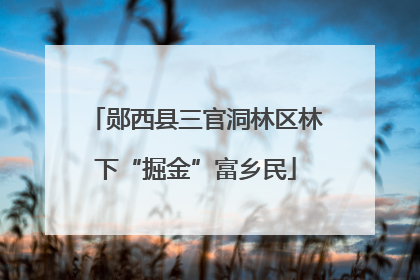 郧西县三官洞林区林下“掘金”富乡民