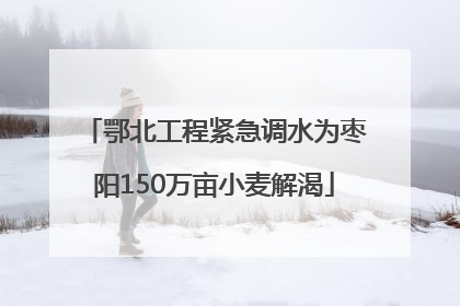 鄂北工程紧急调水为枣阳150万亩小麦解渴