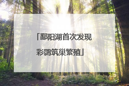 鄱阳湖首次发现彩鹮筑巢繁殖